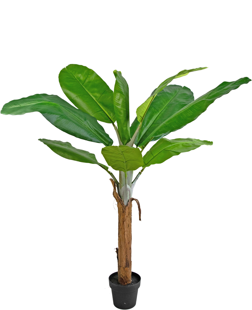 kunstplant-bananenboom-150cm
