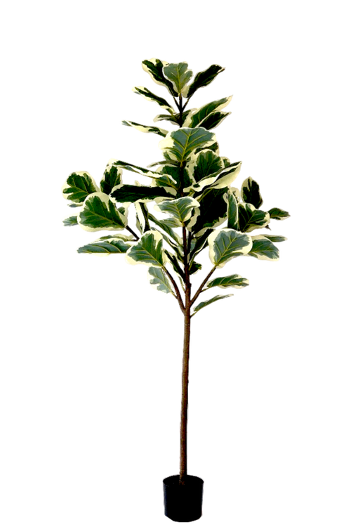 Kunstplant Ficus Lyrata Deluxe 160cm