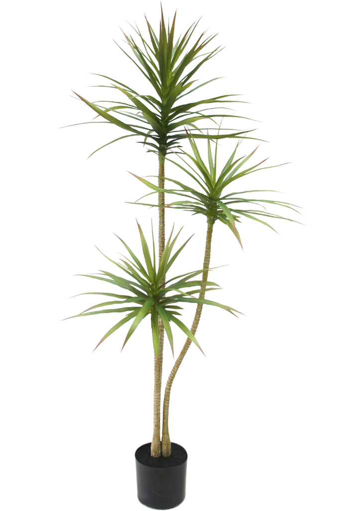Mooie kunstplant van Dracaena Fragnans