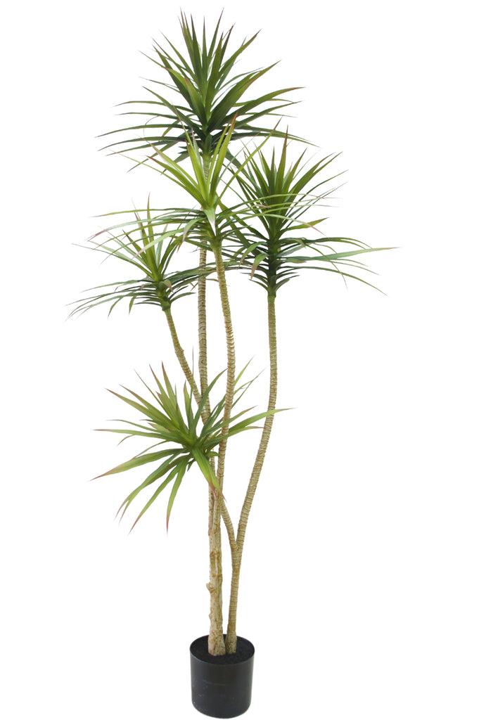 Mooie kunstplant in dracaena franagans stijl