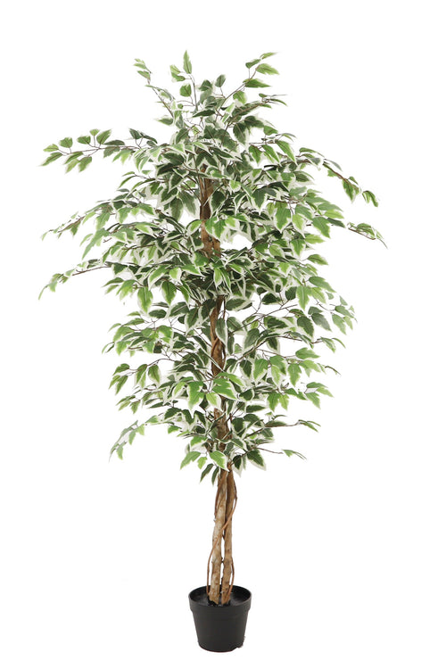 Kunstplant Ficus groen 160cm