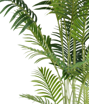 Prachtige Kunstmatige Phoenix boom voor decoratie