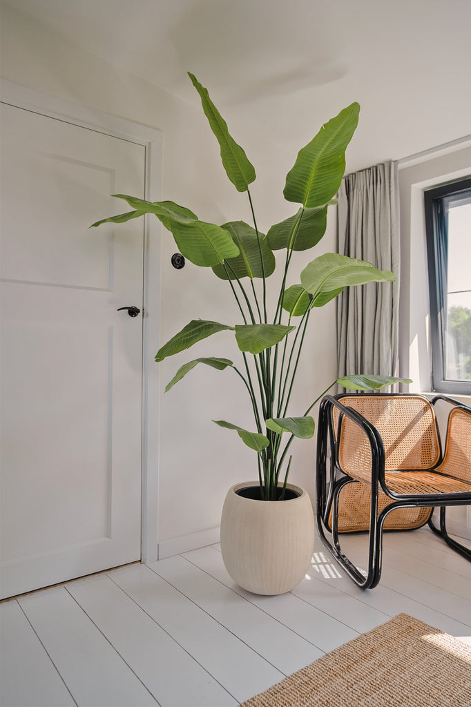 Realistische nep Strelitzia plant voor elk interieur