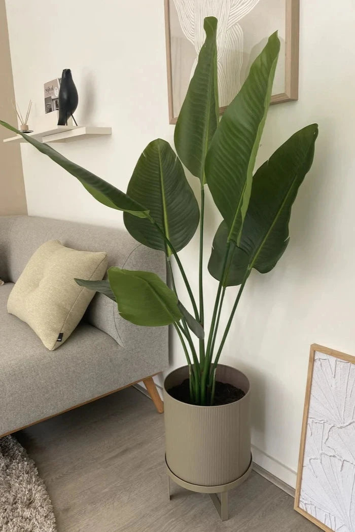 Kunstplant Strelitzia 120 cm