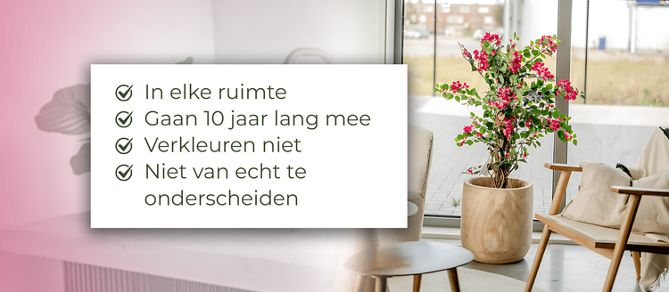 Kunstplanten voor in de winkel