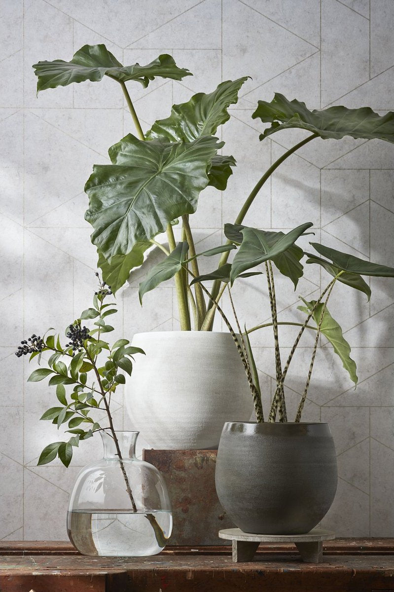 Decoratieve terracotta pot met elegant design