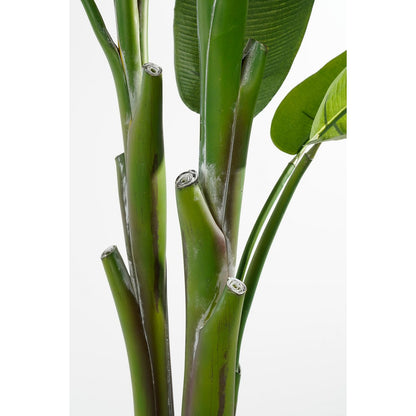 Kunstmatige heliconia met prachtige bladeren