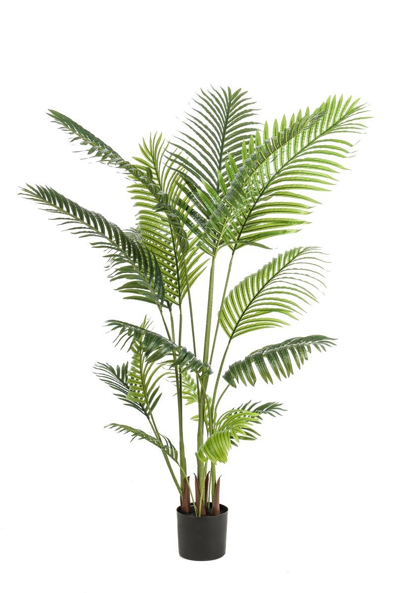 Kunstmatige Howea Forsteriana plant van 160 cm hoog