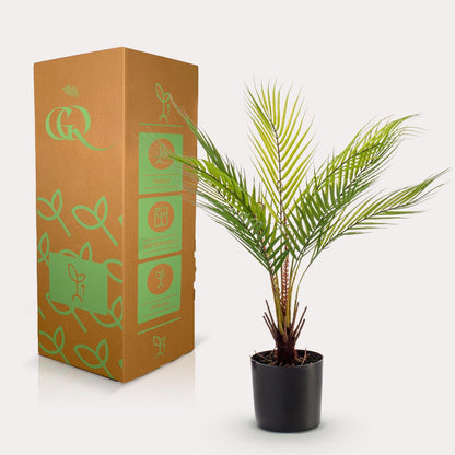 Kunstplant - Chamaedorea - Bergpalm - 50 cm