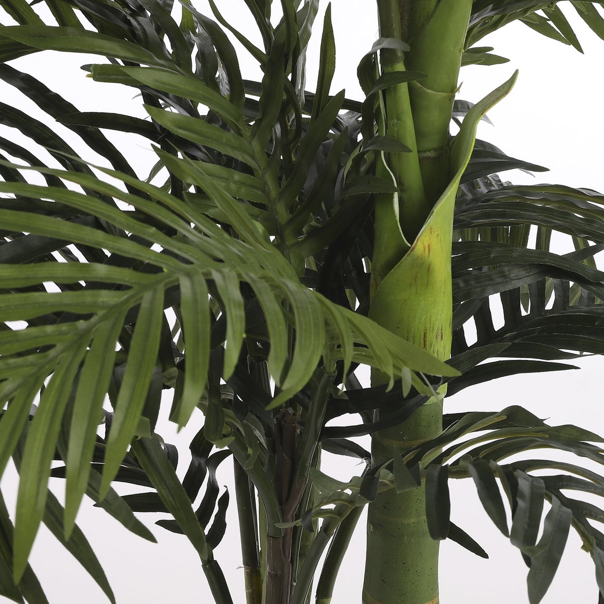 Grote Areca palmboom kunst voor interieur