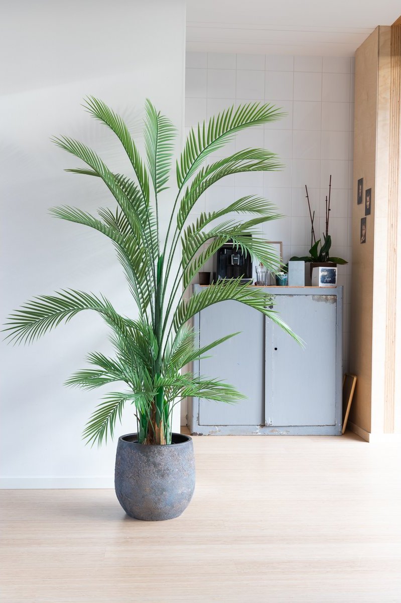 Realistische kunstpalm voor thuis