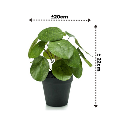 Kunstmatige groene plant met bladeren in pot