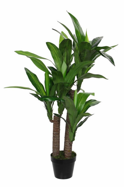 Mooie nep Dracaena plant met grote bladeren