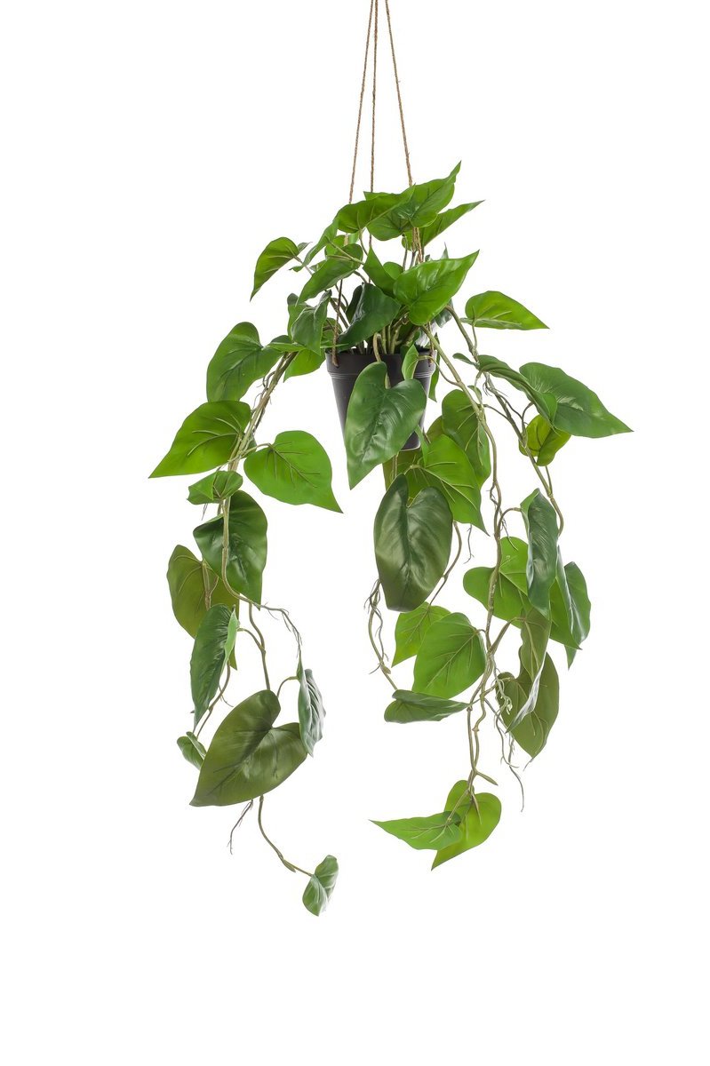 Decoratieve Philodendron kunstplant voor groene sfeer