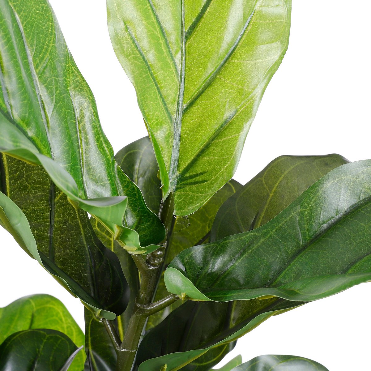 Mooie namaak ficus met groene bladeren