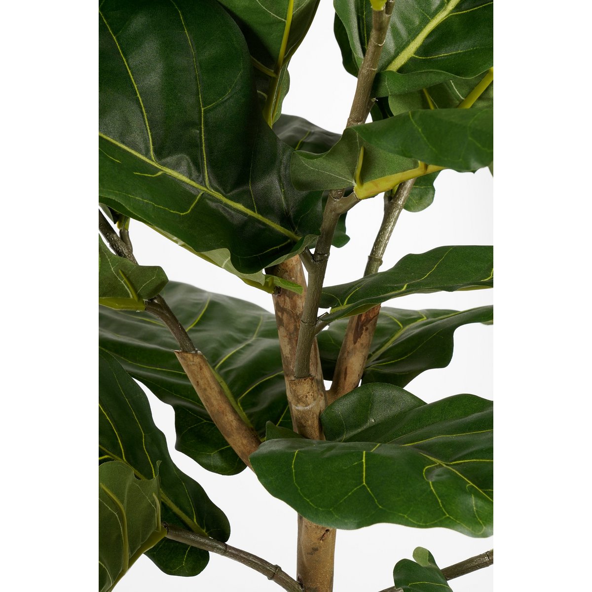 Ficus Lyrata Kunstplant - H165 x Ø95 - Groen