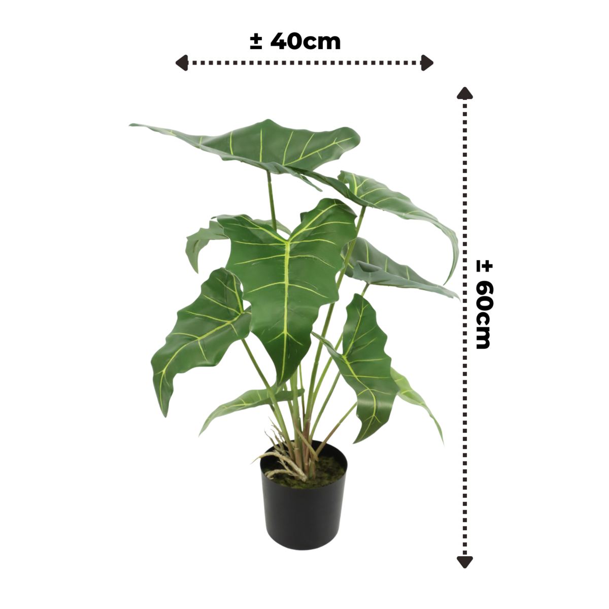 Levensechte kunstplant van Alocasia 60cm hoog