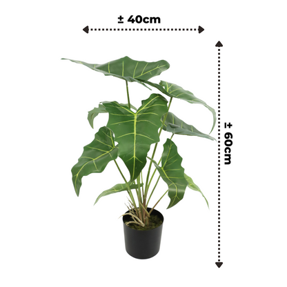 Levensechte kunstplant van Alocasia 60cm hoog