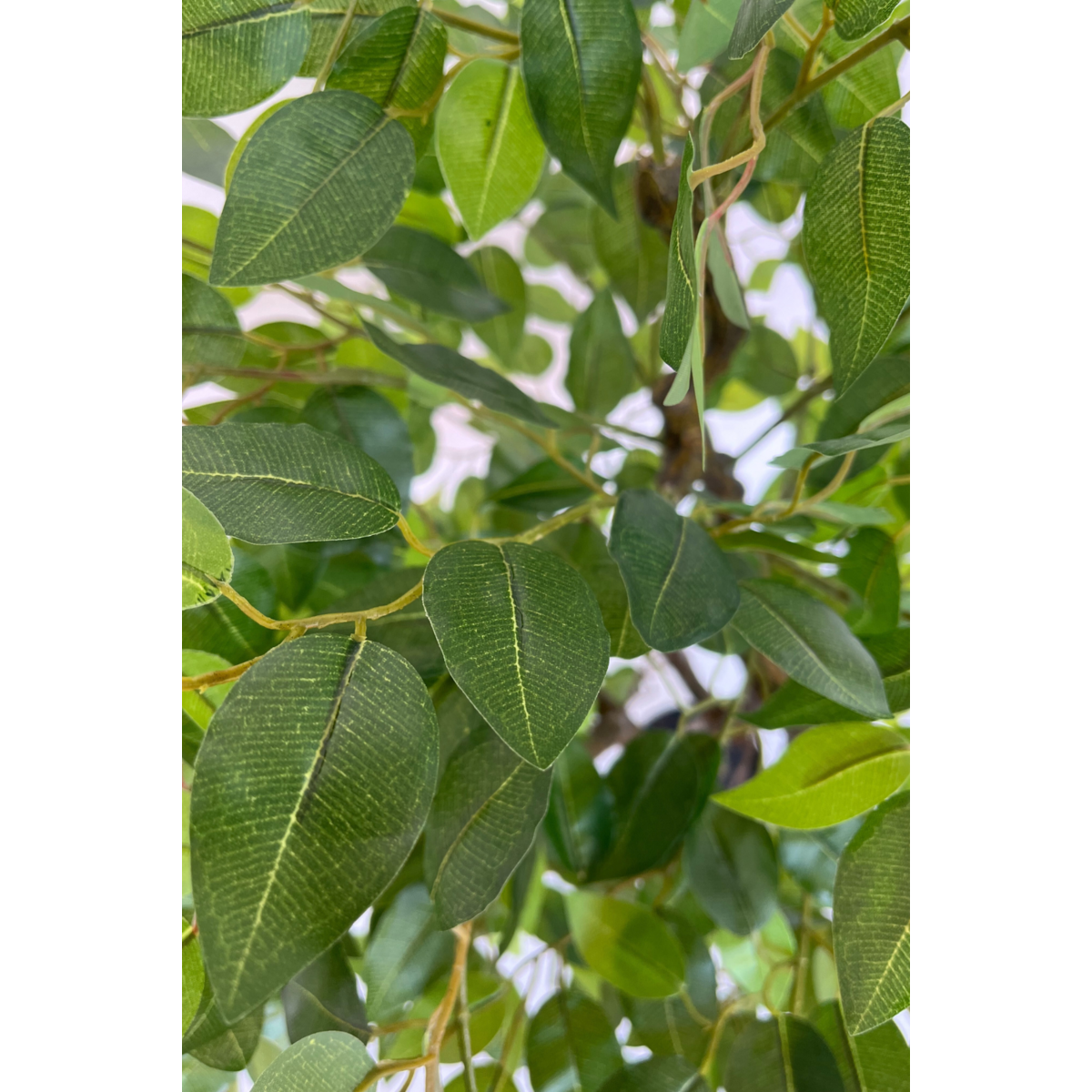 Kunstmatige ficus als praktische interieurdecoratie