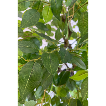 Kunstmatige ficus als praktische interieurdecoratie