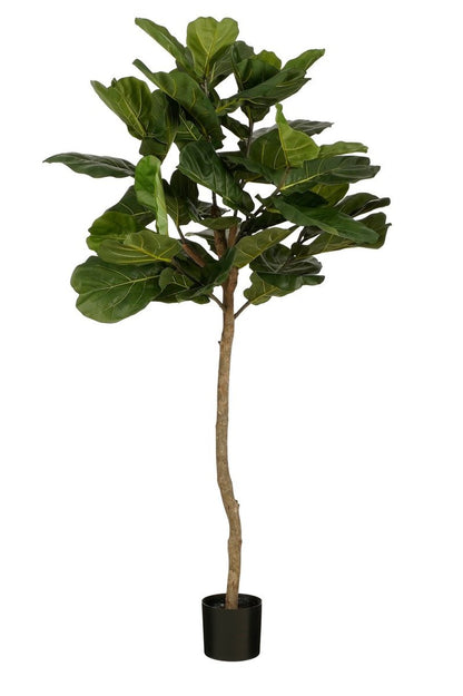 Ficus Lyrata Kunstplant - H165 x Ø95 - Groen