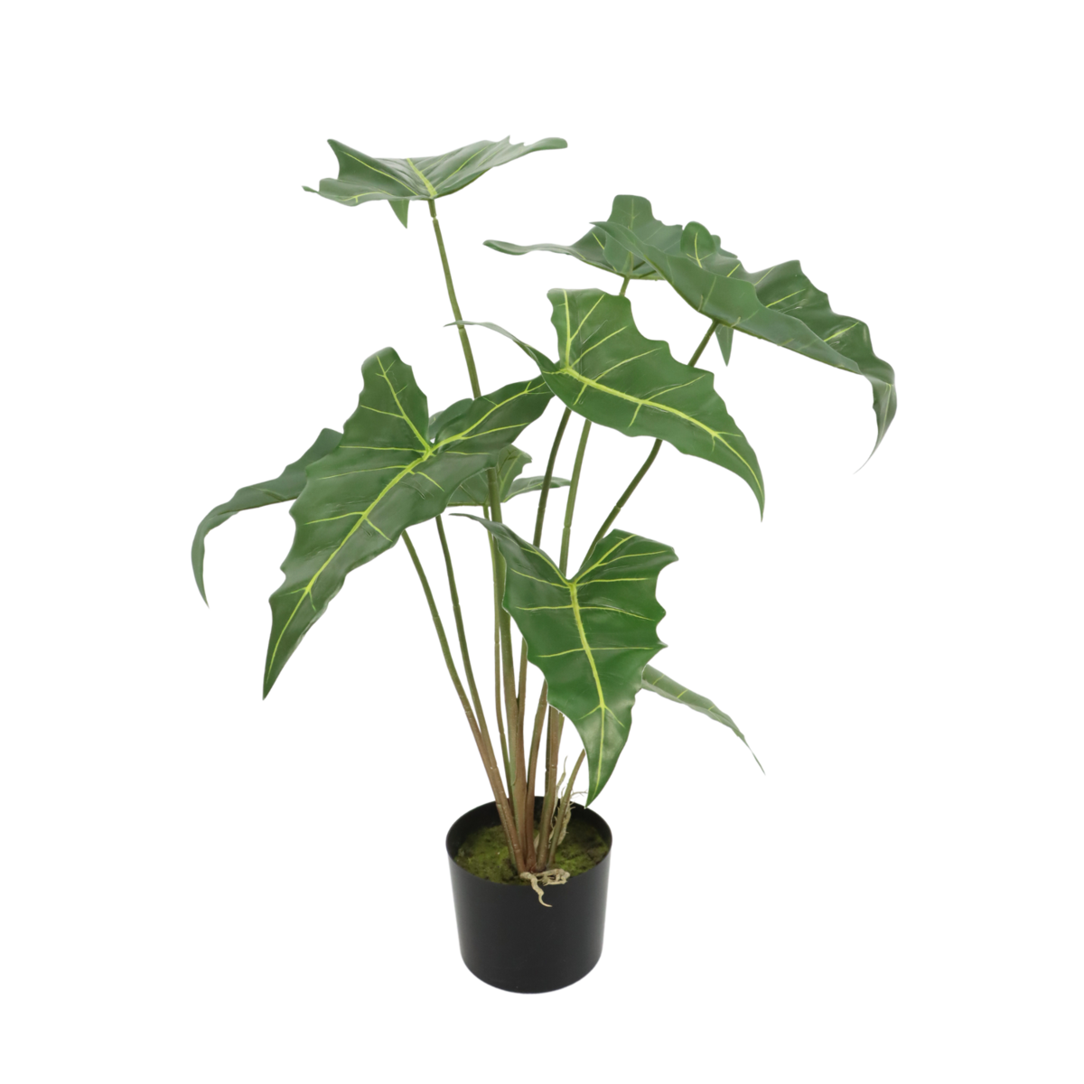 Levendige kunstmatige alocasia plant