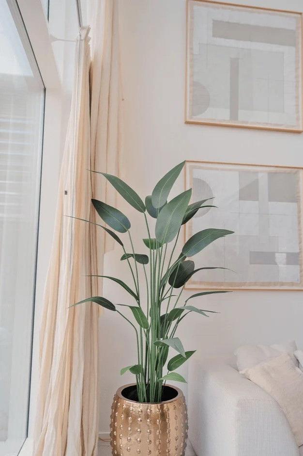 Kunstplant Heliconia 180 cm