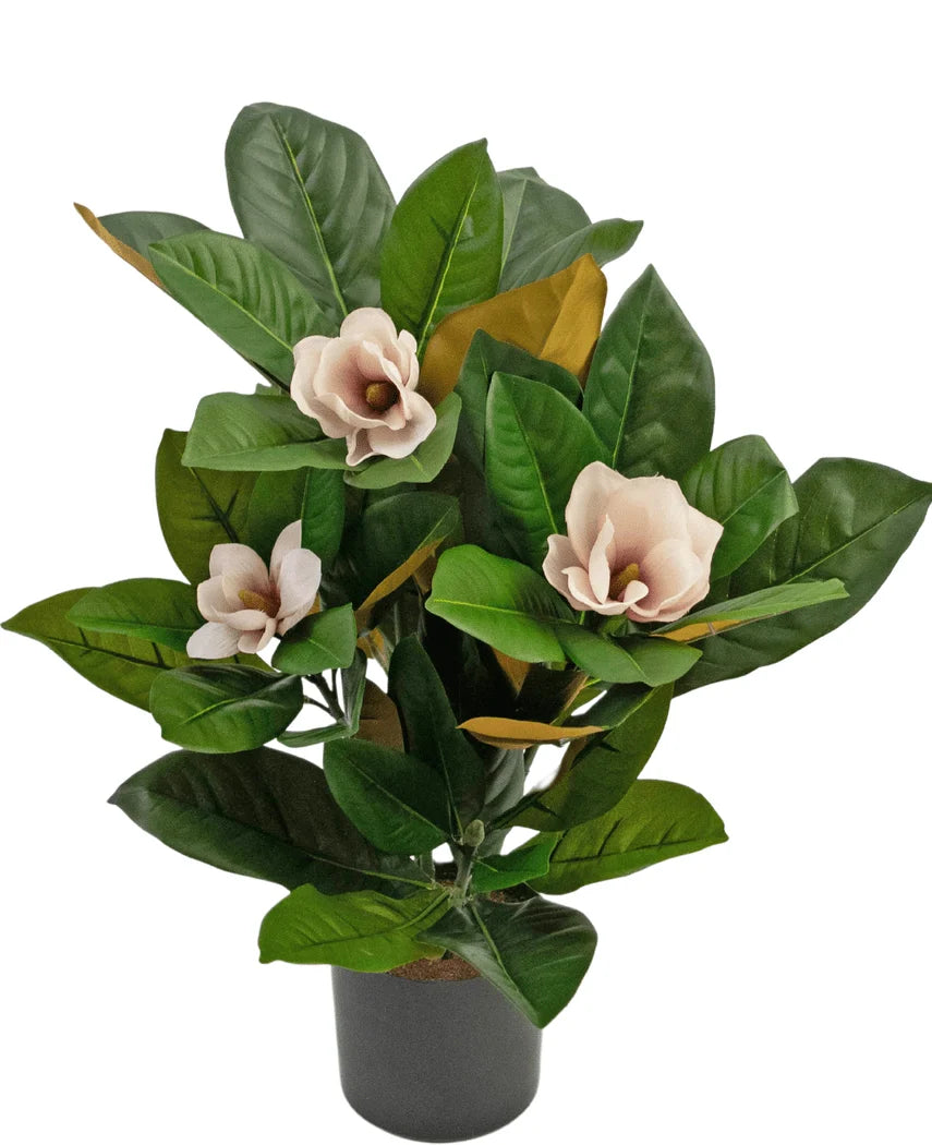 kunstplant-magnolia-in-pot-46cm