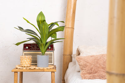 Kunstplant Agave 40cm