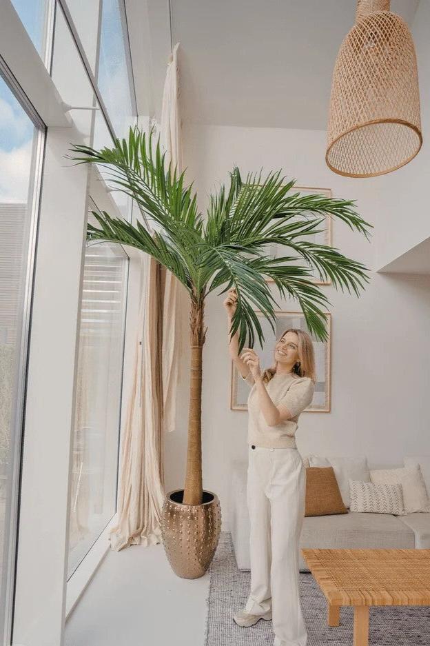 Palm XL Deluxe 270 cm