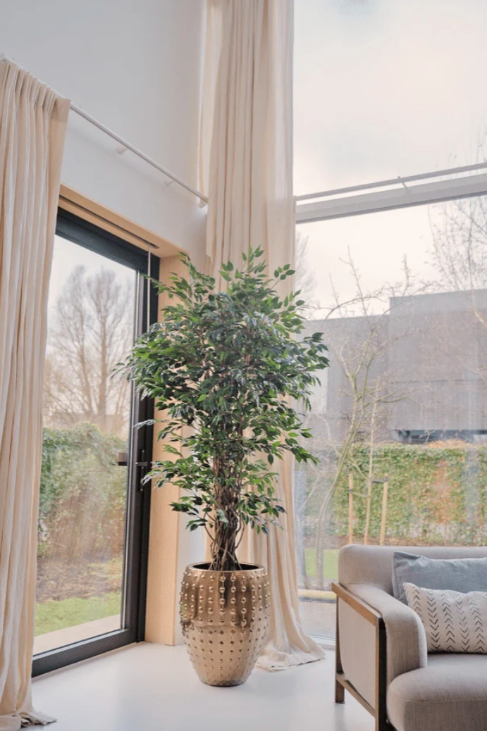 Kunstplant Ficus Liana 180 cm