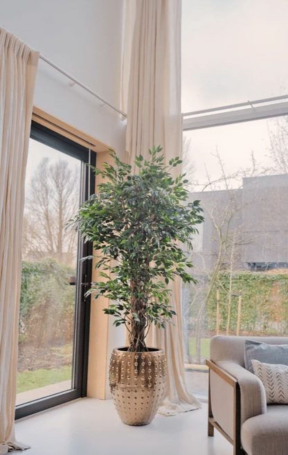 Kunstplant Ficus Tropisch Liana 150 cm