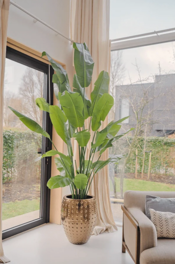 Kunstplant Strelitzia Nicolai 210 cm
