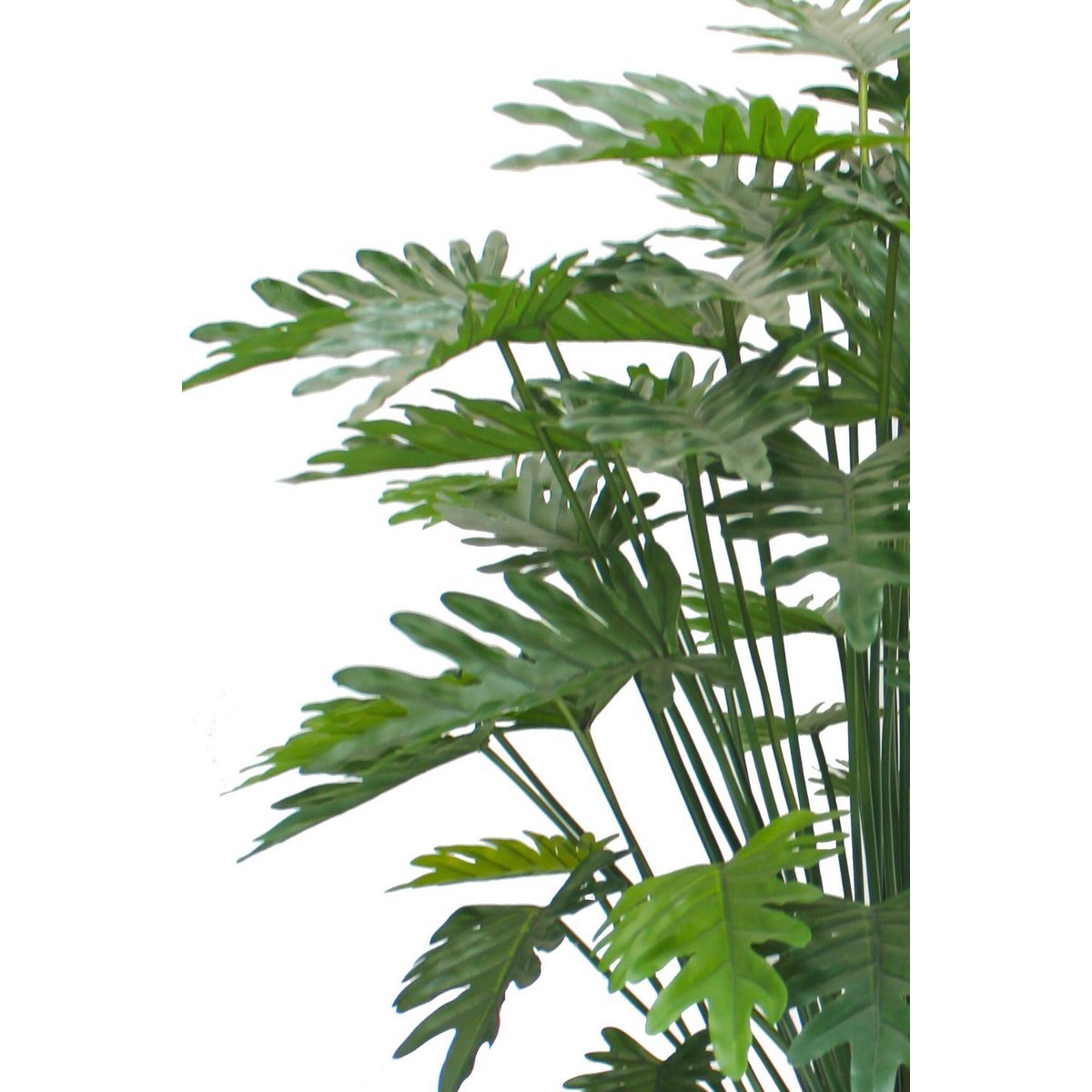 Mooie nep Philodendron plant voor interieurdecoratie