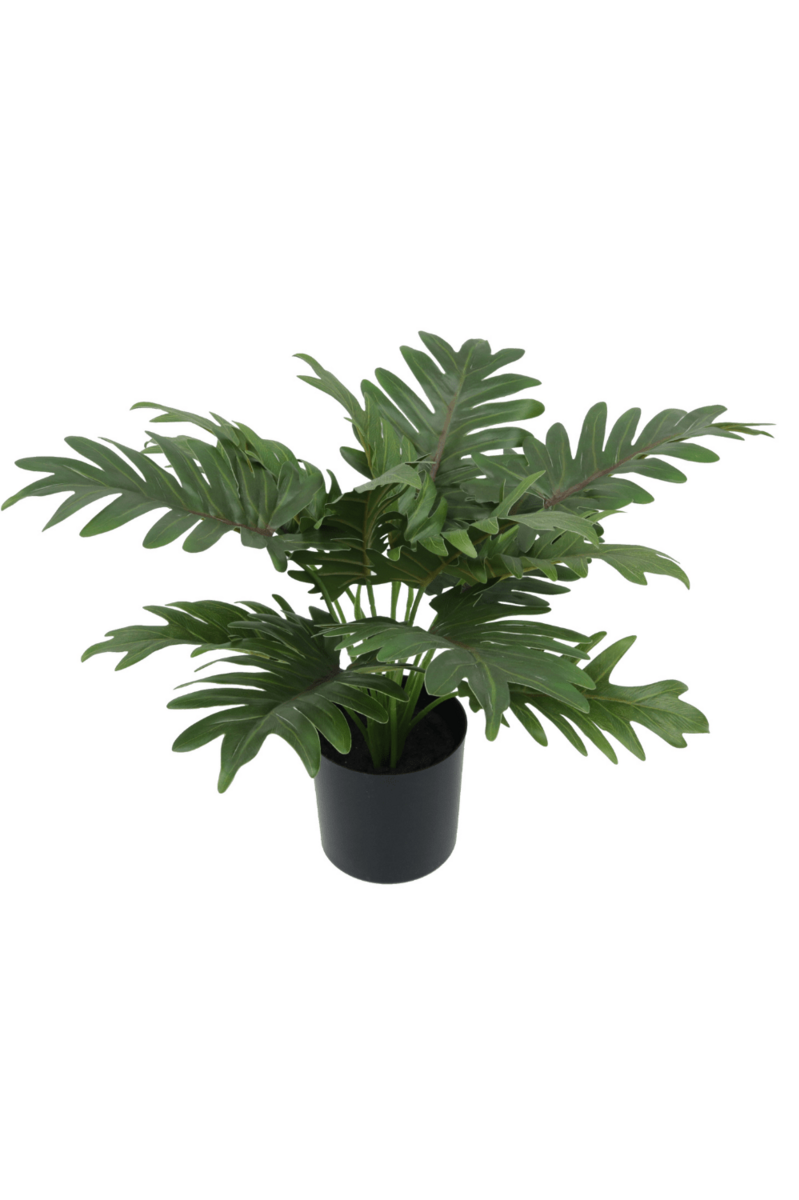 Mooie kunstmatige philodendron plant van 40cm