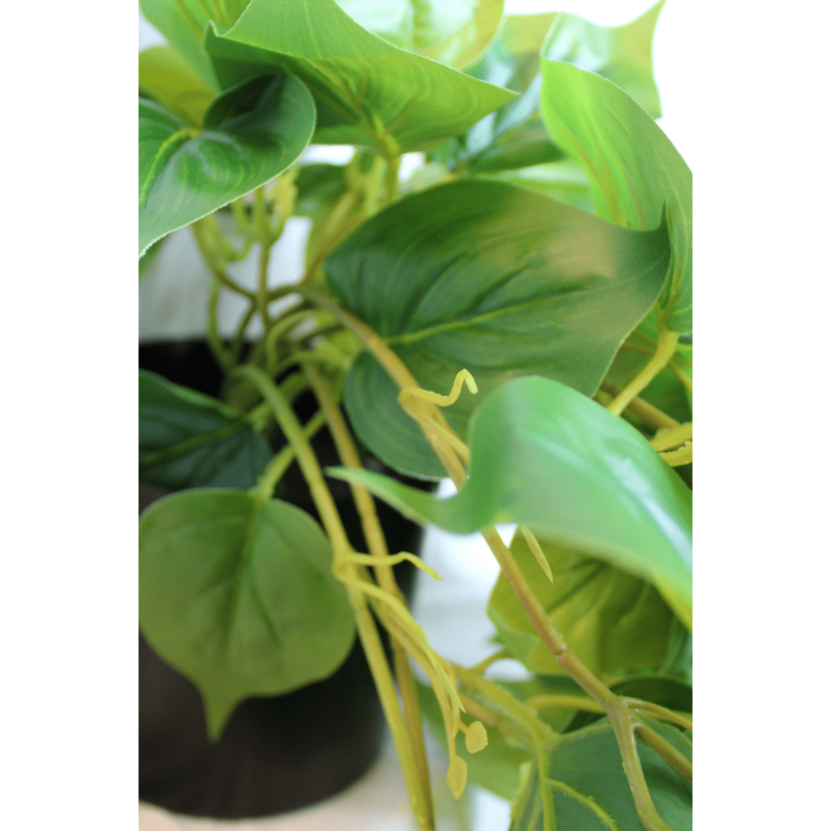 Nagebootste Philodendron hangplant voor ophangen in huis