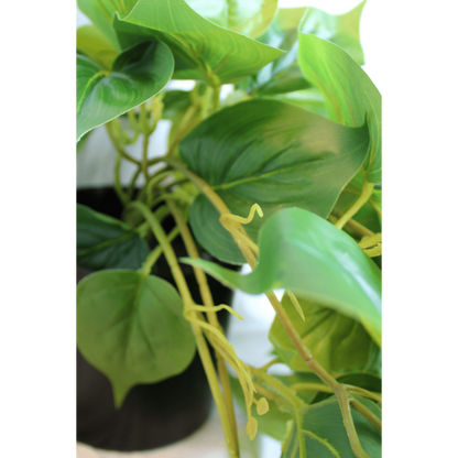 Nagebootste Philodendron hangplant voor ophangen in huis