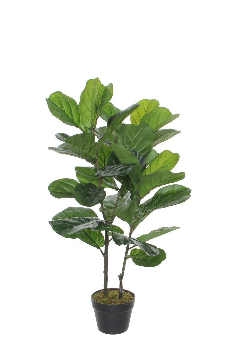 Grote kunstige ficus lyrate plant