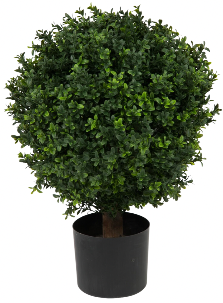 Buxus kunstboom op standaard met Romeinse invloeden