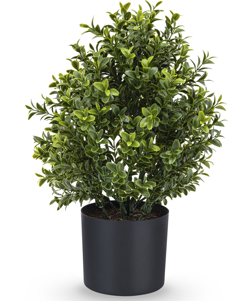 Kunstmatige buxus struik met UV-bescherming in Romeinse stijl