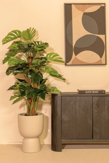 Kunstzinnige monstera plant voor woonkamer