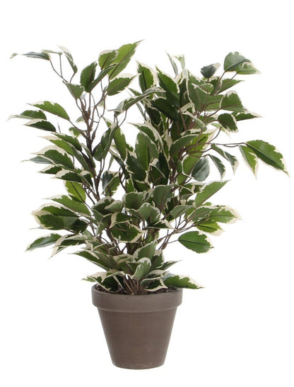 Ficus Natasja Kunstplant in Bloempot Stan - H40 x Ø30 cm - Groen Bont