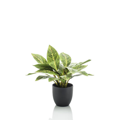 Kunstplant - Croton Codiaeum - Wonderstruik - 38 cm