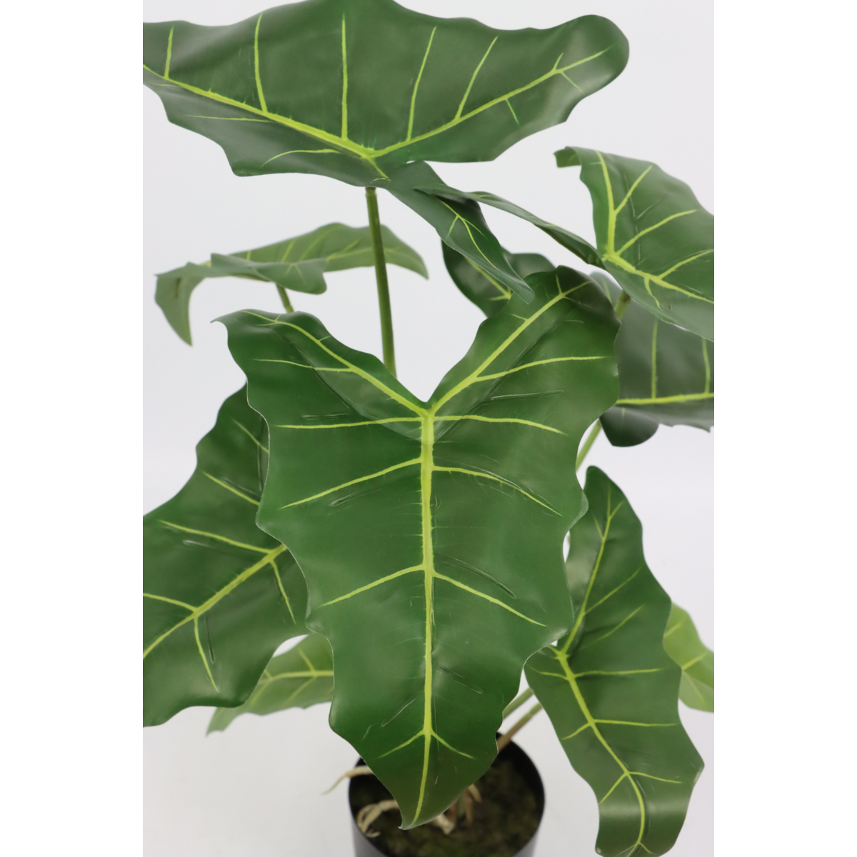 Mooie Alocasia kunstplant voor binneninrichting