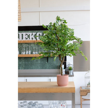 Ficus kunstboom met levensechte uitstraling