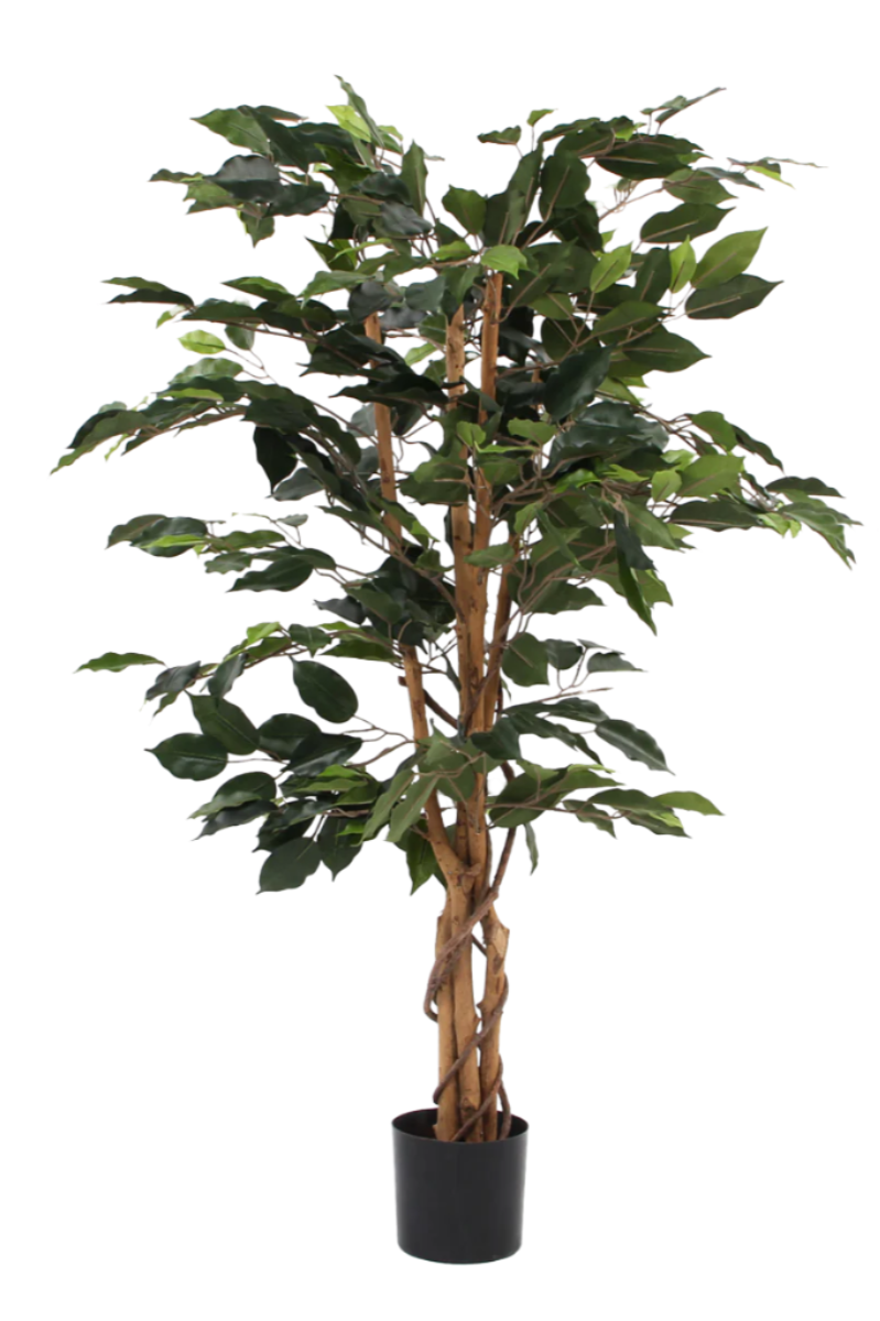 Grote kunstplant van ficus in groen