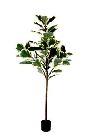 Kunstplant Ficus Lyrata Deluxe 160cm