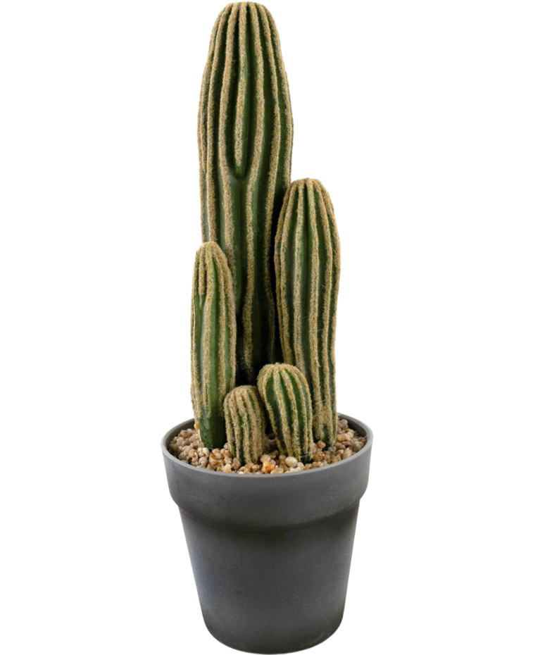 Kunst Cactus 41 cm