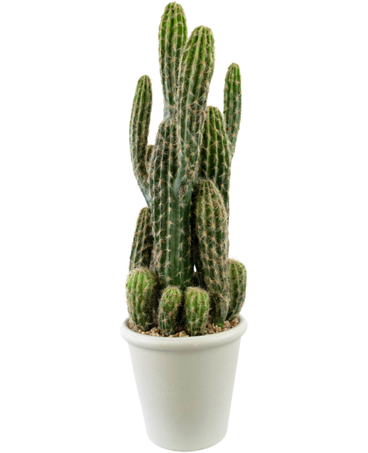 Kunst Cactus 62 cm