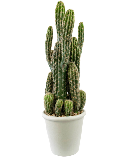 Kunst Cactus 62 cm